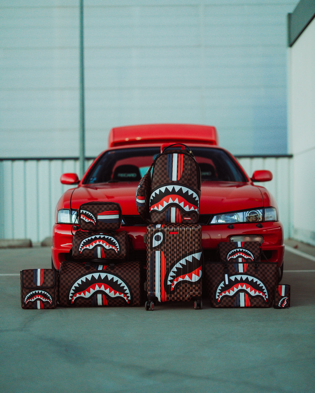 SHARKS IN PARIS GT BACKPACK